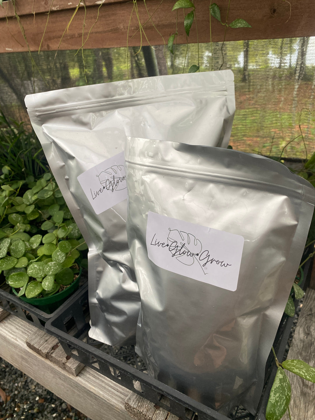 LGG Hoya Grow Mix