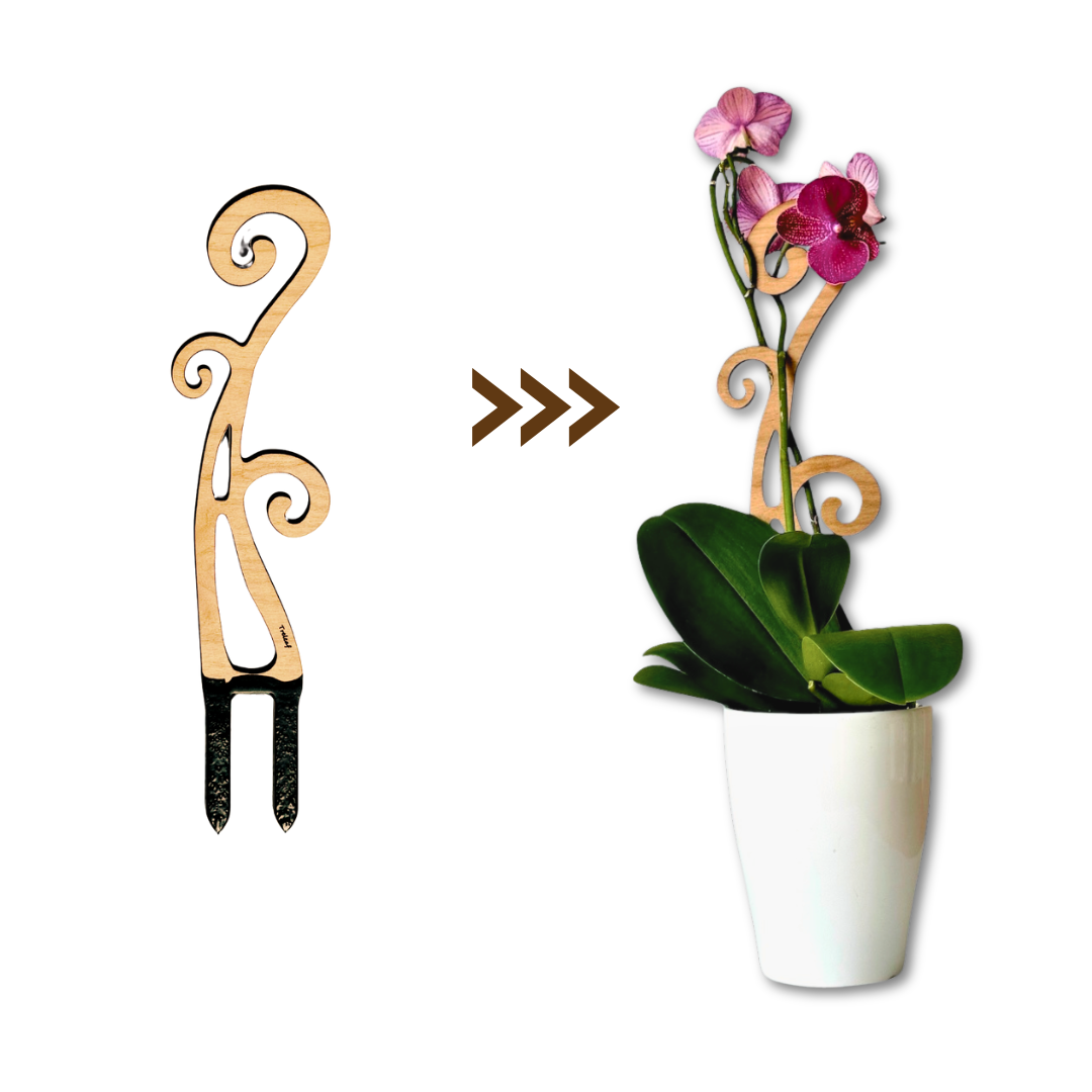 Flora - Plant trellis designed for Orchids