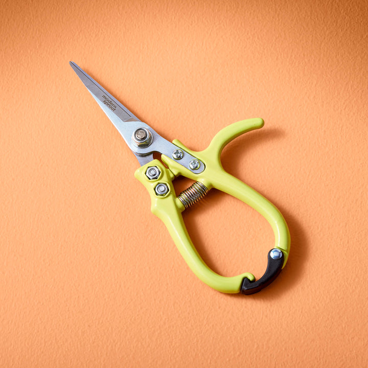 Snips