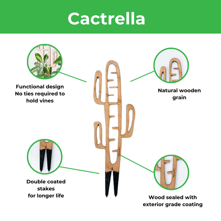 Cactrella - Plant trellis inspired by the Barrel Cactus