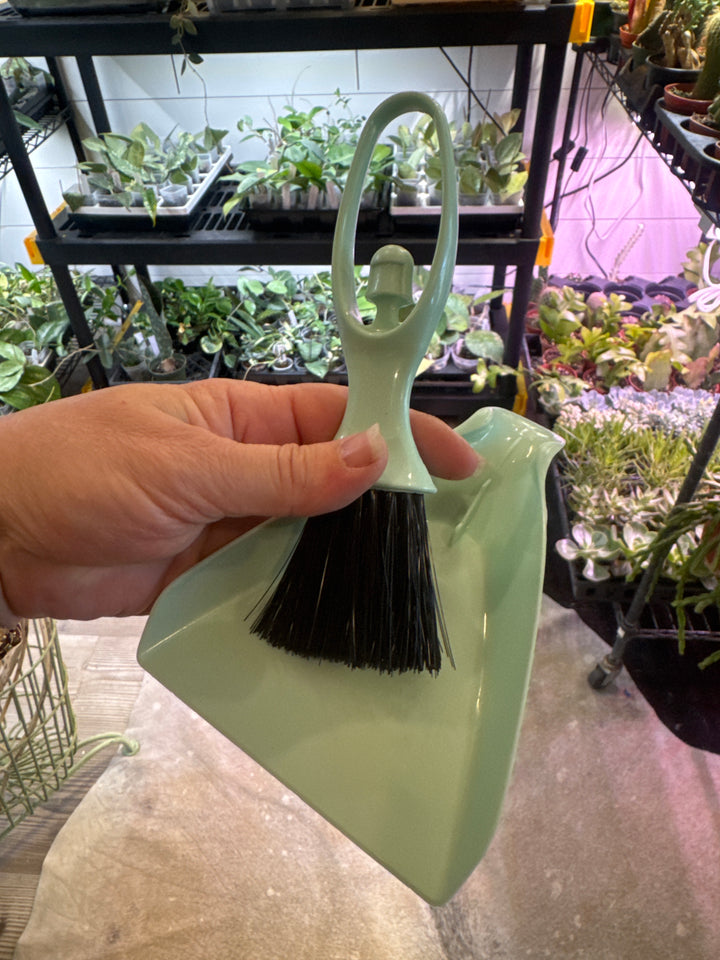 Mini Assistant Sweeper