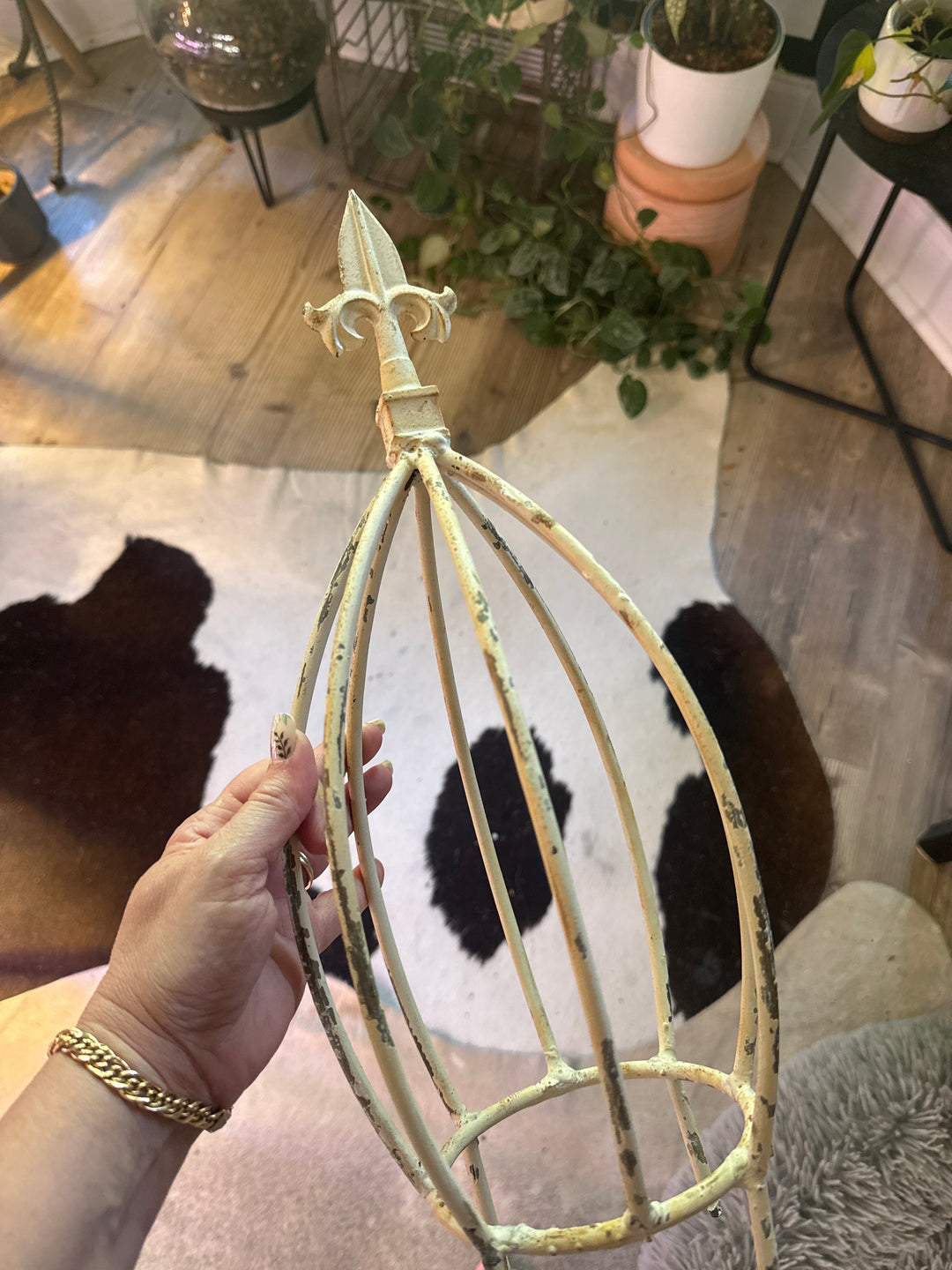 Iron Trellis