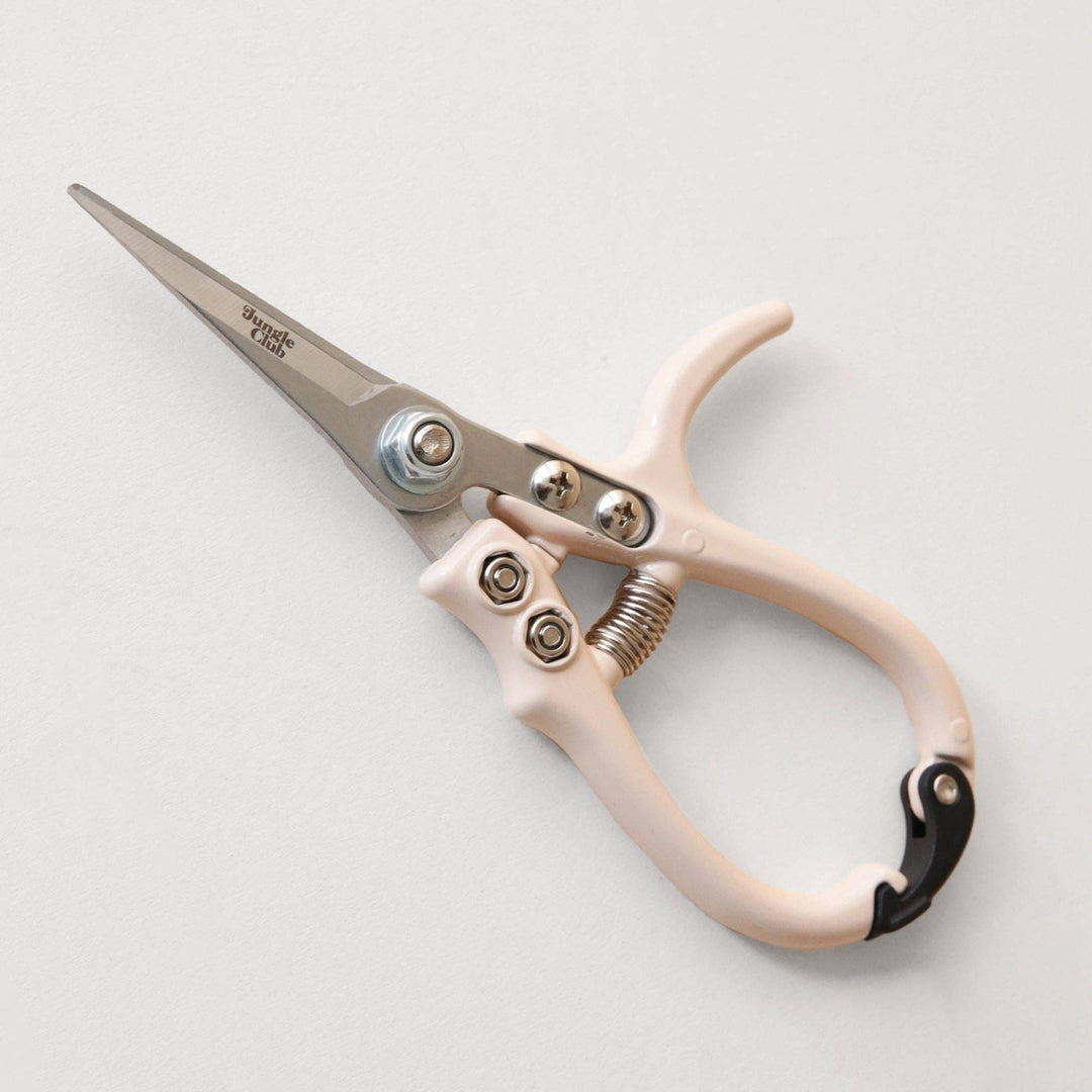 Snips