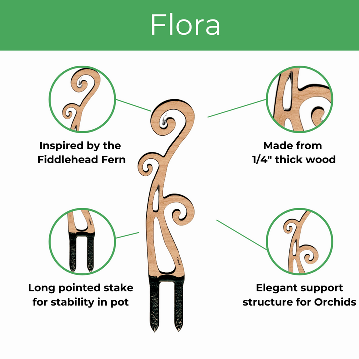 Flora - Plant trellis designed for Orchids