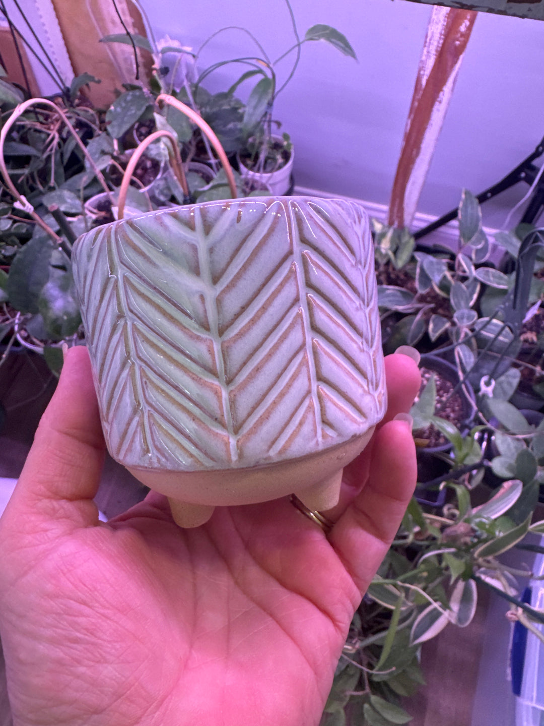 Ramos Banded Chevron Cachepot, Stoneware - 2.5"