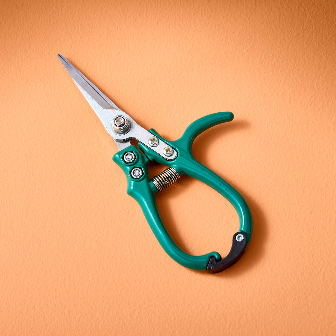 Snips