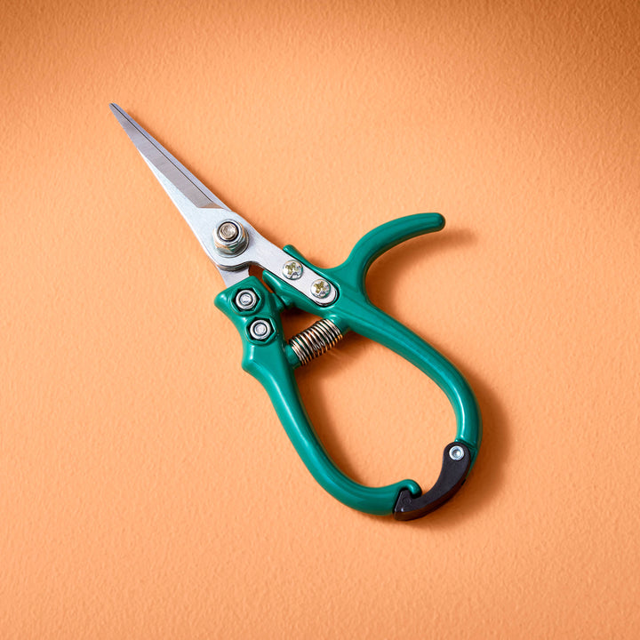 Snips