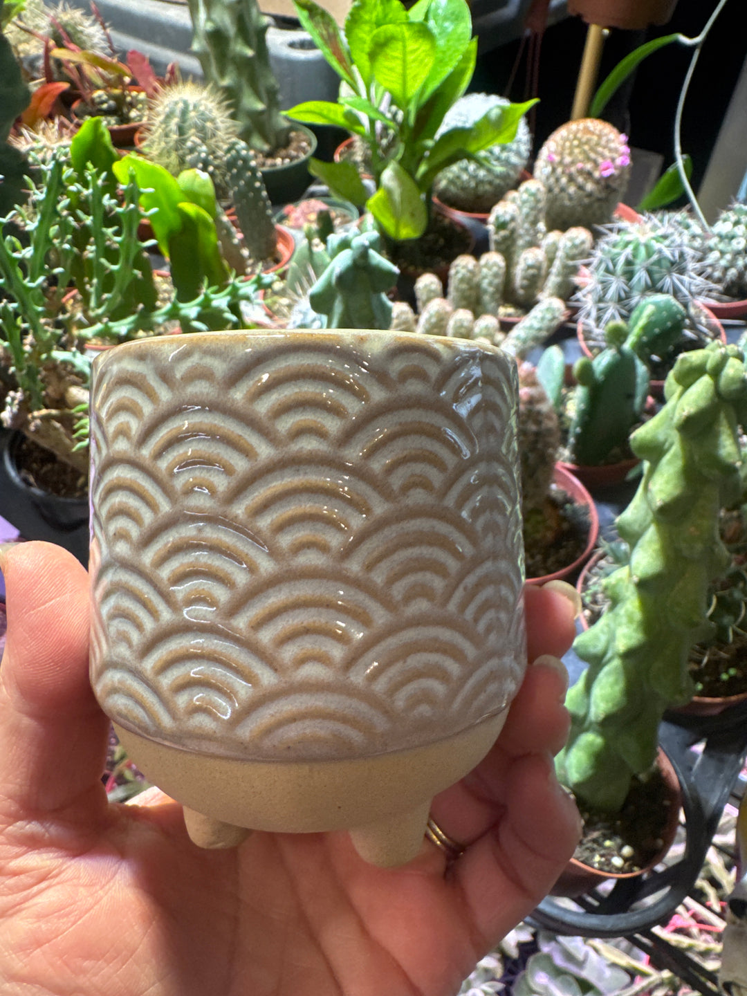 Ramos Rainbow Cachepot, Stoneware - 2.5"