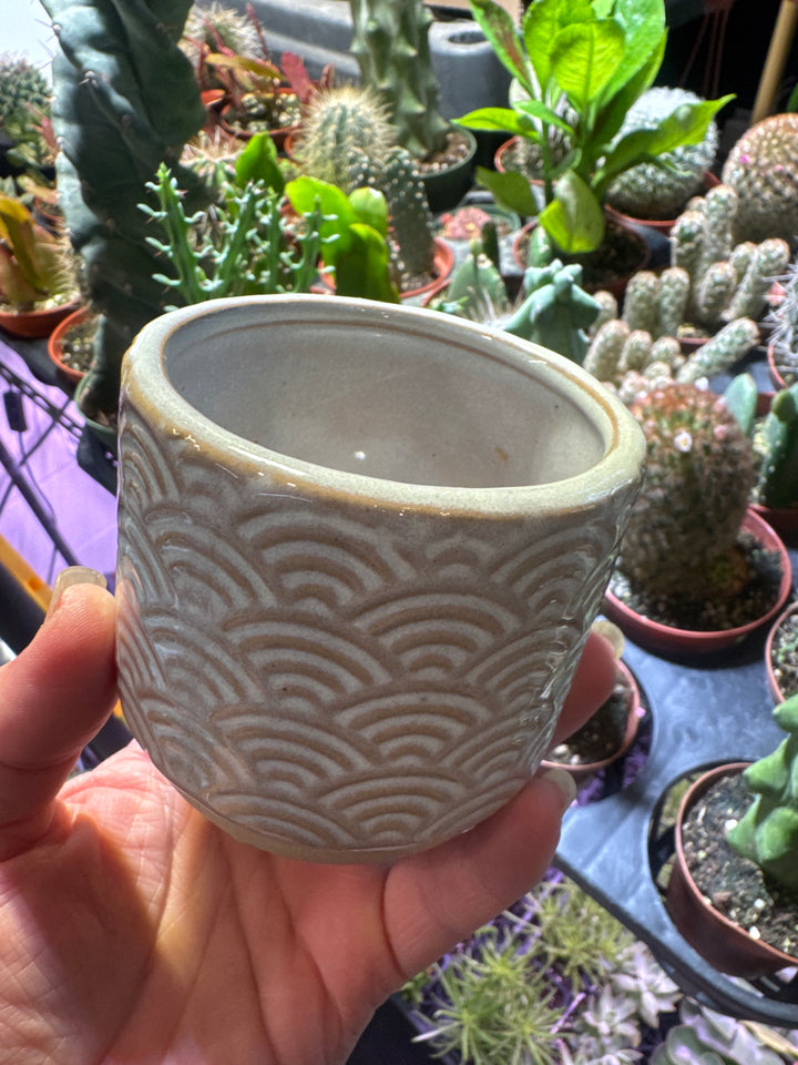 Ramos Rainbow Cachepot, Stoneware - 2.5"