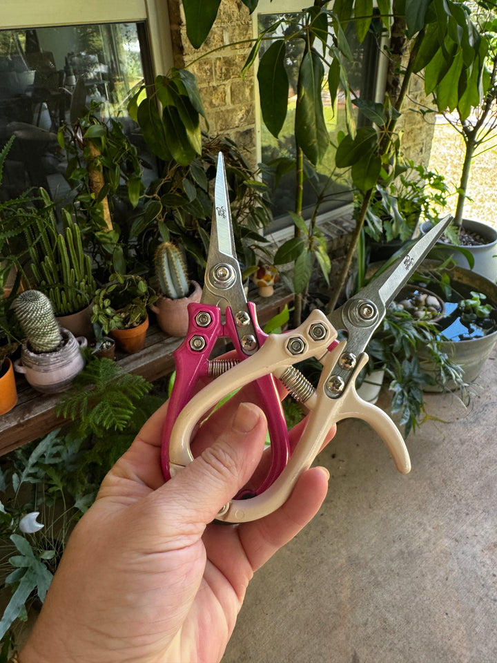 Snips
