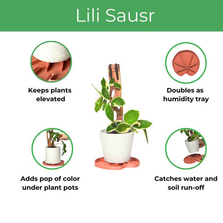 Lili Sausr - Lilly pad shaped Saucer - Spill tray - Drip tray for houseplants - Humidity tray