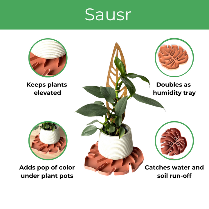 Tera Sausr - Leaf-shaped Pot Saucer - Drip tray for houseplants - Humidity tray