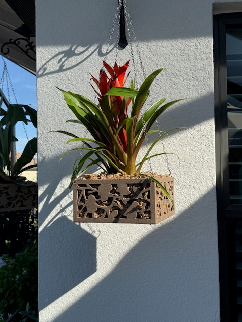 8" Vina Indoor / Outdoor Planter Hanging Basket
