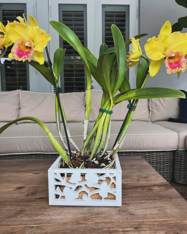 8" Vina Indoor / Outdoor Planter Hanging Basket