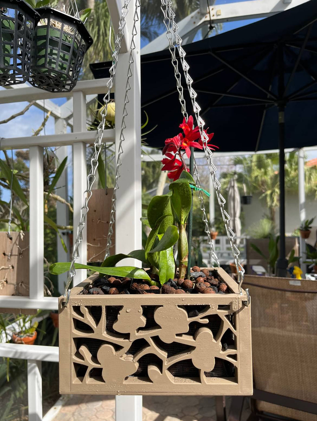 8" Vina Indoor / Outdoor Planter Hanging Basket