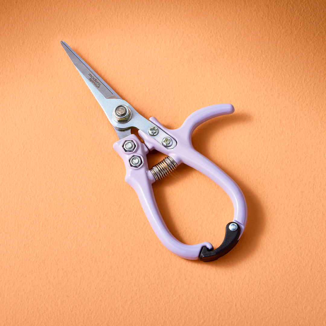 Snips