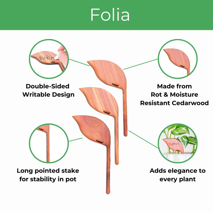 Folia - Wooden plant tags - Leaf-shaped plant labels